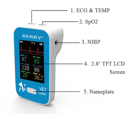 Multiparameter Veterinary Patient Monitor Lightweight Real-Time Monitoring