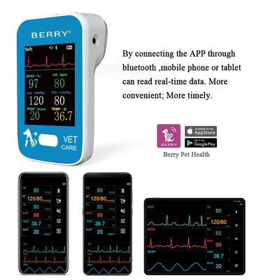 Multiparameter Veterinary Patient Monitor Lightweight Real-Time Monitoring